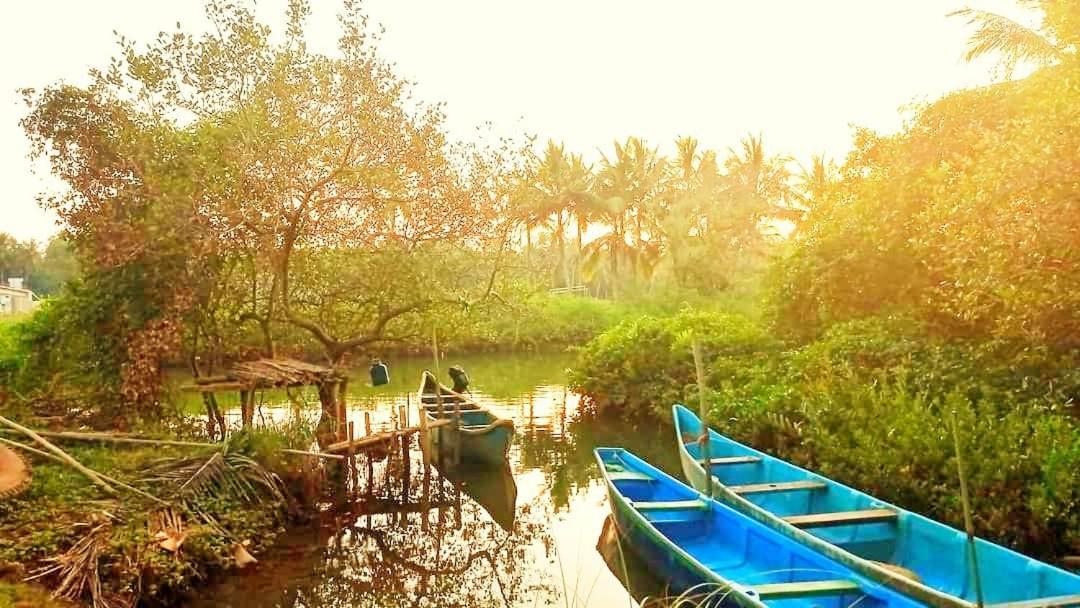 Shruthi'S Aarohi-Nature'S Retreat Mulappilangād Dış mekan fotoğraf