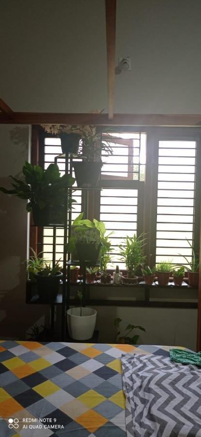 Shruthi'S Aarohi-Nature'S Retreat Mulappilangād Dış mekan fotoğraf
