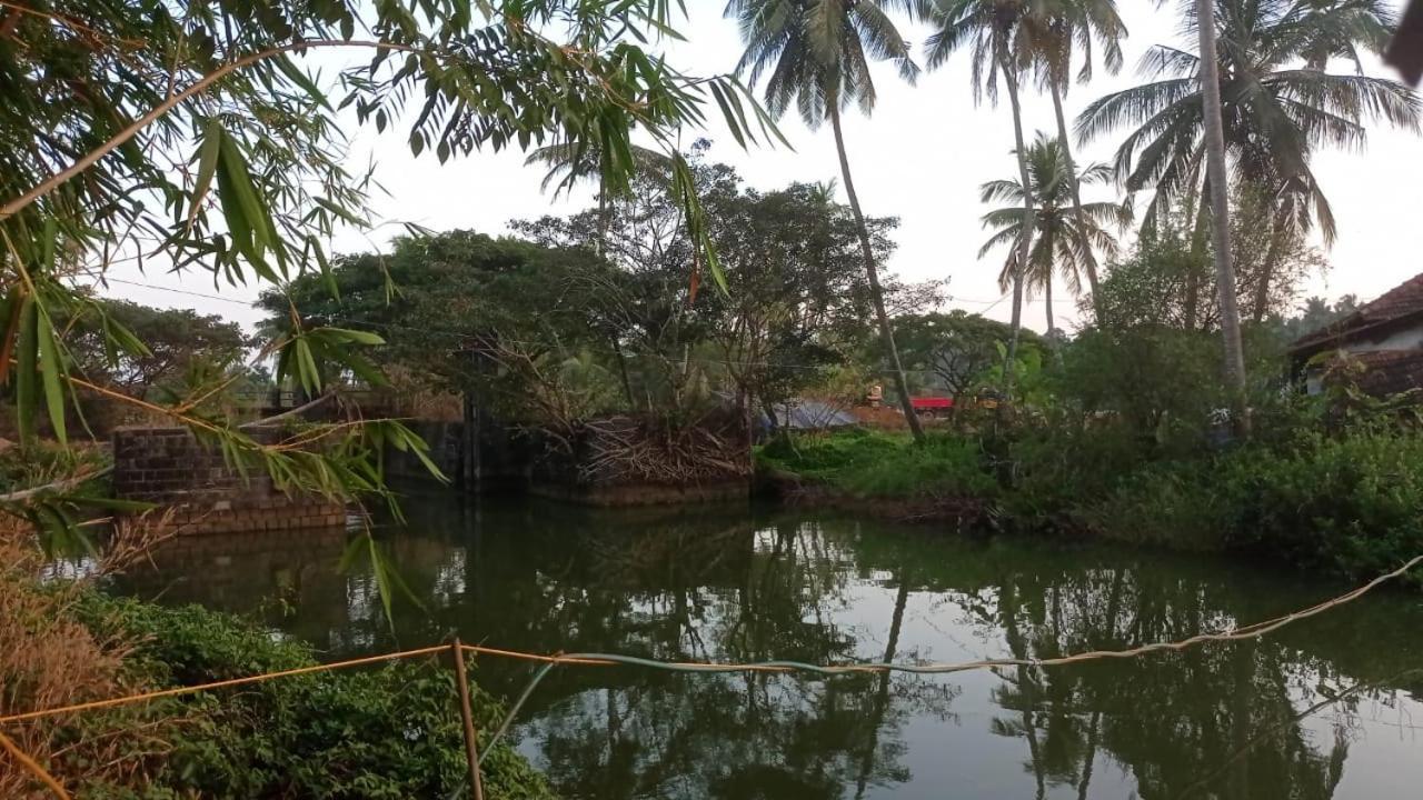 Shruthi'S Aarohi-Nature'S Retreat Mulappilangād Dış mekan fotoğraf
